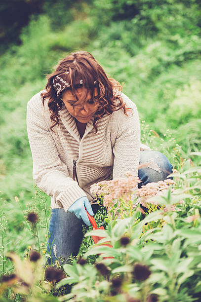 istock Woman Enjoying in her Vegetable Garden 492705088