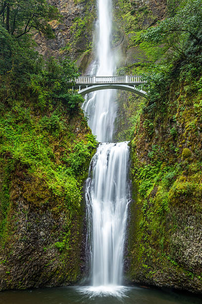 istock Famous Multnomah falls in Columbia river gorge, Oregon 492705312
