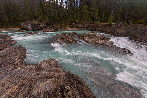 istock Rushing waters at Yoho National Park in British Columbia 492705356