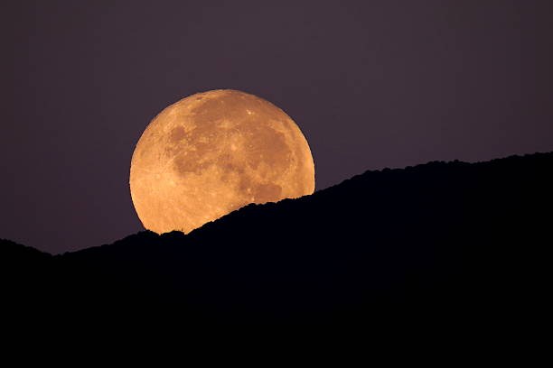 Super Moon Setting This super moon was shot setting over the Huachuca Mountains in Sierra Vista, Arizona. The super moon occurs when the moon is at its closest point to the earth and appears larger in the sky than normal. It was shot on the morning of the super-blood moon, September 27 2015. The pre-dawn purple hews give an ethereal impression.   astronomy telescope photos stock pictures, royalty-free photos & images