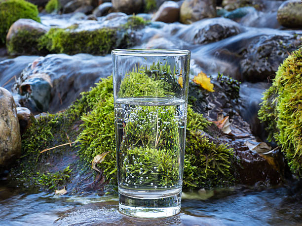 istock Mineral water in a glass 492706010