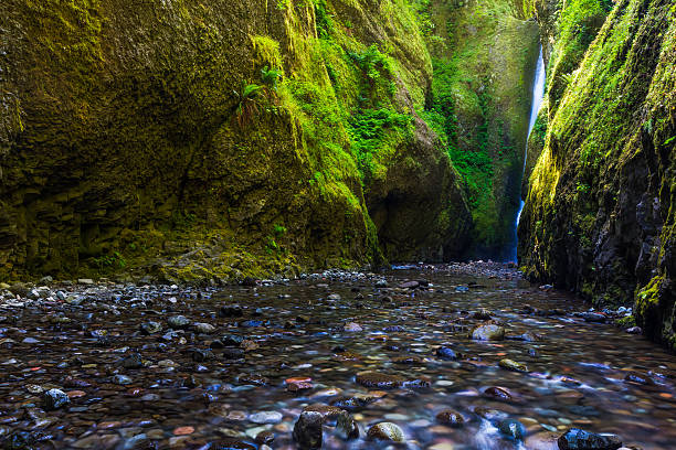 istock Beautiful waterfall and canyon in Oneonta Gorge trail, Oregon. 492706282