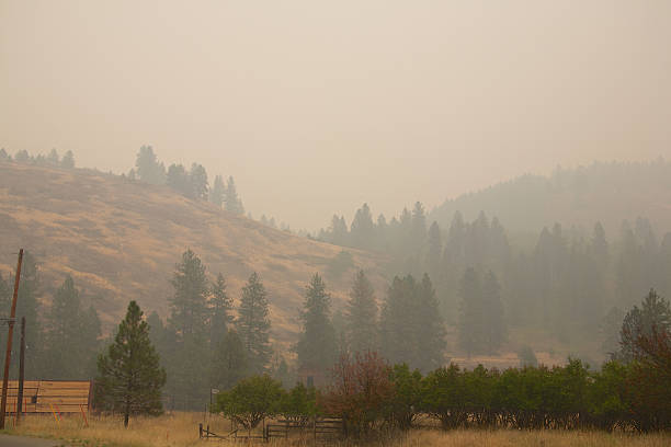 Smoke from the Stickpin forest fire in Washington State Smoke from the Stickpin forest fire from Washington State, USA, moving into British Columbia Canada. wildfire smoke stock pictures, royalty-free photos & images