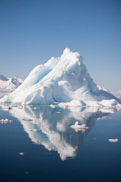 istock Icebergs in Antarctica 492708386