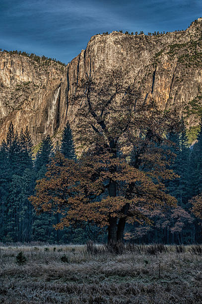 istock Early Morning in Yosemite National Park 492725993