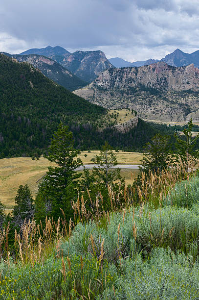 медведь зуб горы, монтана, сша. - absaroka range стоковые фото и изображения