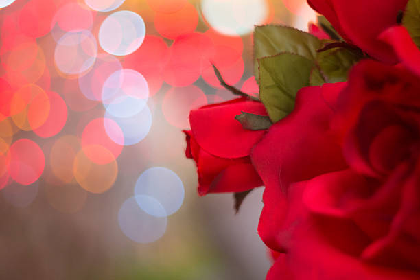 beautiful dry red rose on bubble with blur bokeh background