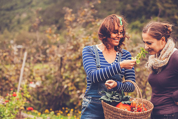 2 人の女性の庭園をお楽しみいただけます。 - autumn pumpkin flower food ストックフォトと画像