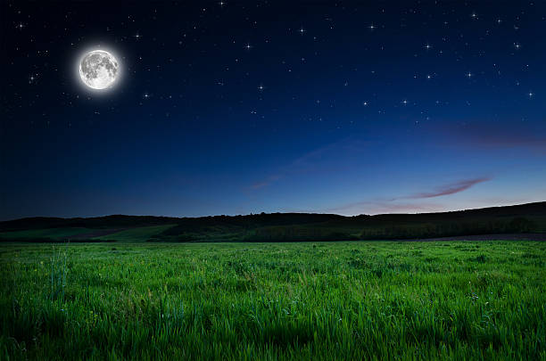 sfondo di notte - plain meadow sky grass foto e immagini stock