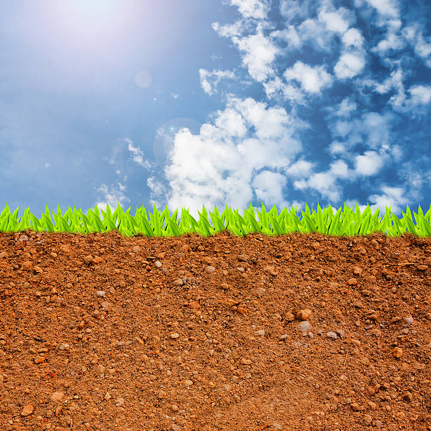 istock cross section of grass and soil against blue sky 492726835