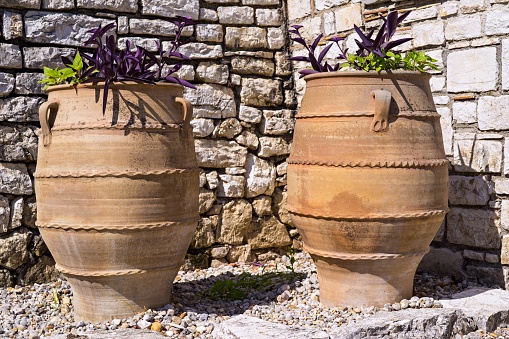 two big ceramic flowerpot of ancient greek style with flower plants and a closeup against a stone wall