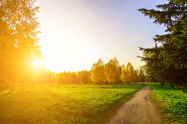 istock Autumn Nature in Urban Park with Pathway 492727284