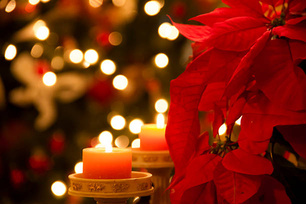 Christmas Decoration Christmas home decoration with poinsettia flower and candles in foreground and tree lights in background poinsettia christmas candle flower stock pictures, royalty-free photos & images