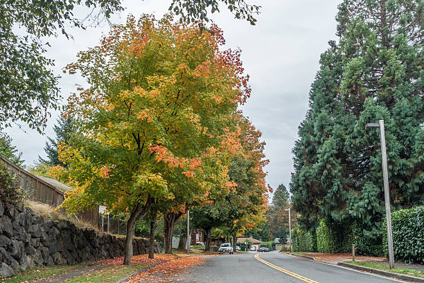 istock Color Street 8 492727734