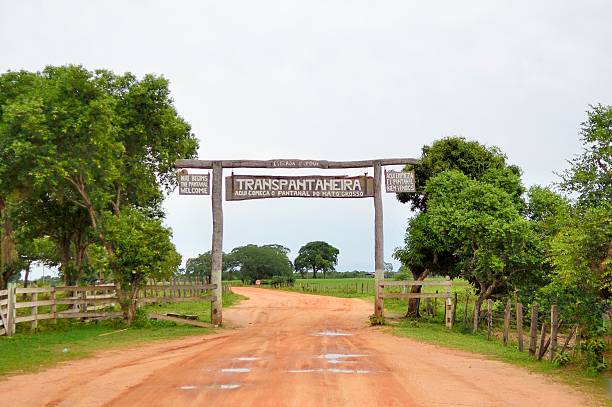 istock Entrance To THe Pantanal 492729529