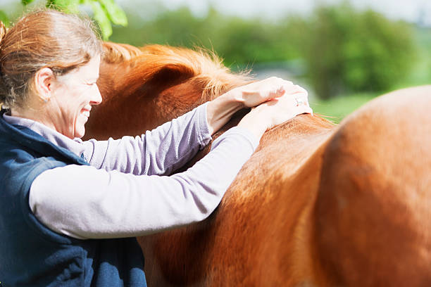 Female veterinarian performing chiropractics A female veterinarian, performing some chiropractics on a horse. XXL size image. Image taken with Canon EOS 1 Ds Mark II and EF 70-200 mm USM L. vet treating horse stock pictures, royalty-free photos & images