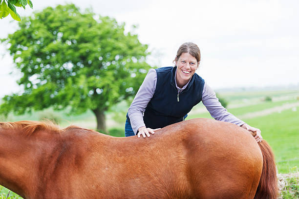 istock Female veterinarian performing chiropractics 492730885