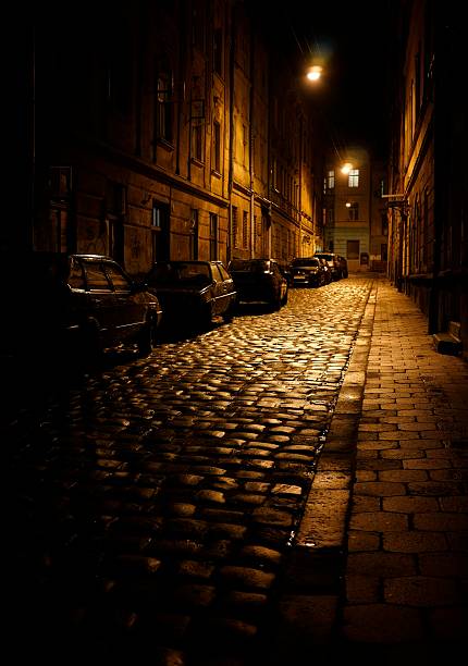 istock Lights the night streets of Lviv 492730897