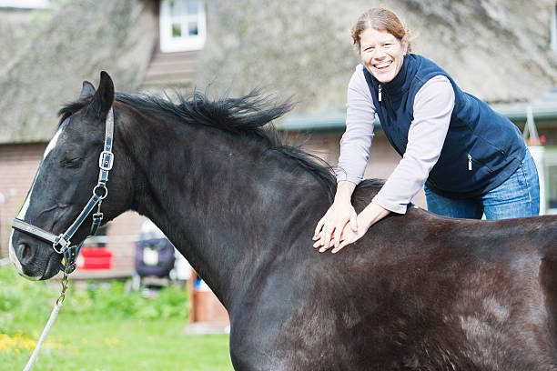 istock Female veterinarian performing chiropractics 492731573