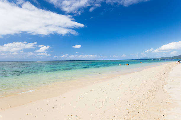 istock Beach (Ishigaki Yonehara Coast in Japan 492733052
