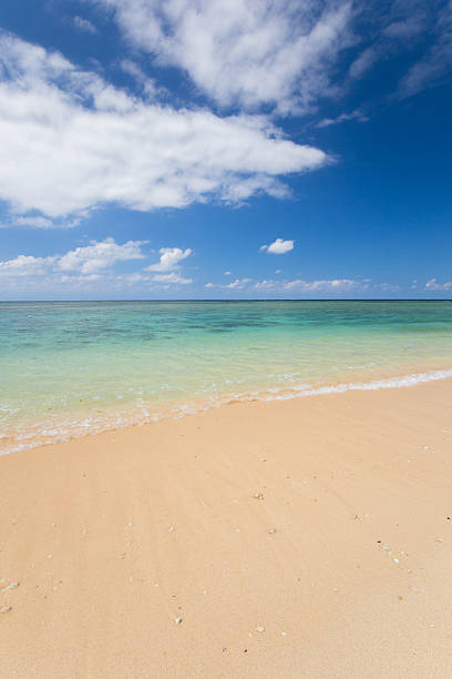 istock Beach (Ishigaki Yonehara Coast in Japan 492733502