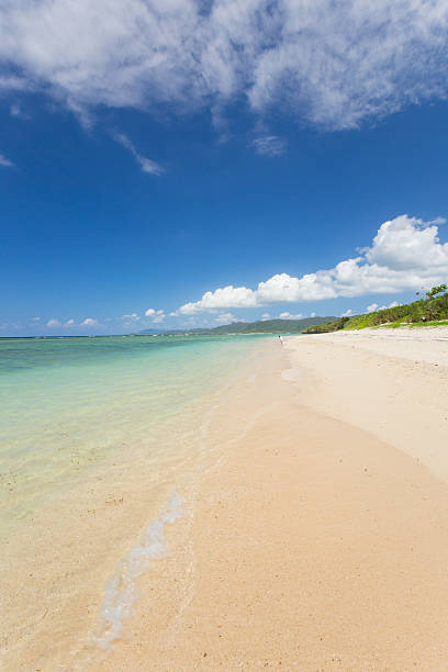 istock Beach (Ishigaki Yonehara Coast in Japan 492733760