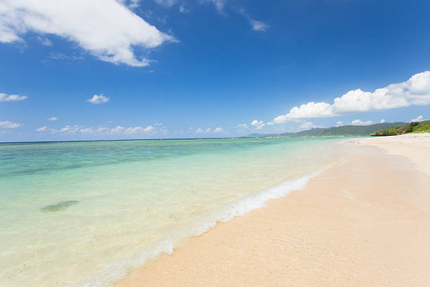 istock Beach (Ishigaki Yonehara Coast in Japan 492733994