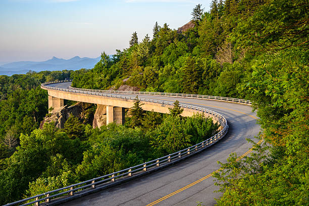 ブルー リッジ パークウェイ - blue ridge mountains mountain virginia mountain range ストックフォトと画像