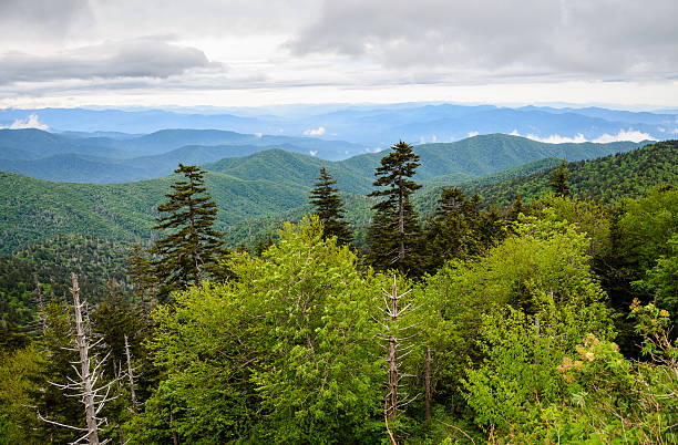 istock Great Smoky Mountains National Park 492734340