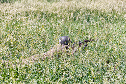 A United States Army World War II infantry sniper soldier with authentic helmet, uniform and weapon lies hidden but ready for action - almost invisible in tall grass. June 2015 Utah \