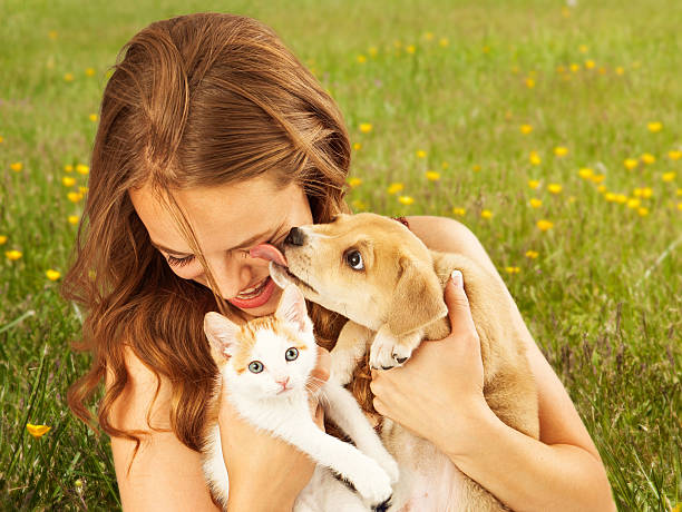 fille dans le champ avec petit chaton et chiot affectueux - dog domestic cat pets women photos et images de collection