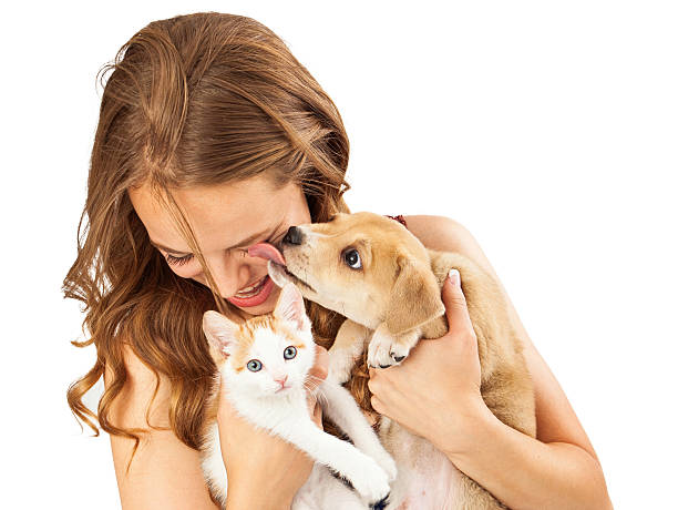 Happy Girl With Kitten and Affectionate Puppy A pretty young girl holding a cute orange tabby kitten and an affectionate puppy that is licking her face as she is laughing lady dog stock pictures, royalty-free photos & images