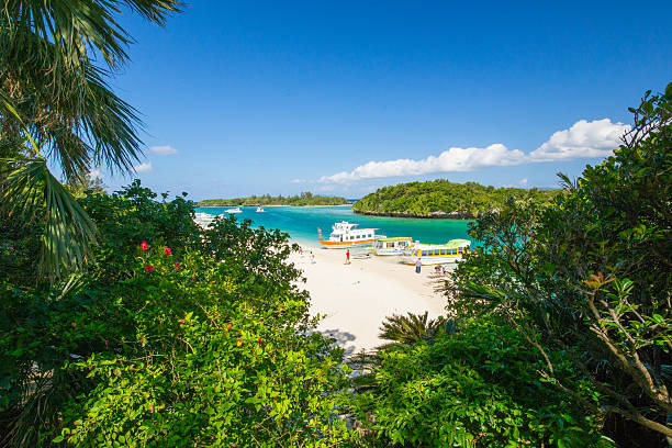 istock Ishigaki Kabira Bay in Japan 492737726