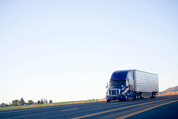 blu moderno reefer semi-camion rimorchio trasporto cargo su autostrada - freight liner immagine foto e immagini stock