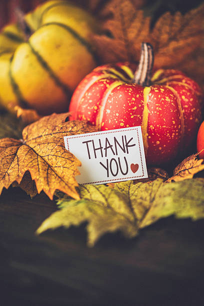 istock Autumn Thanksgiving arrangement with thank you message 492751242
