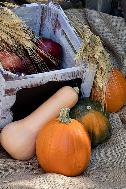 istock Holiday Autumn Apples and Pumpkins 492754916