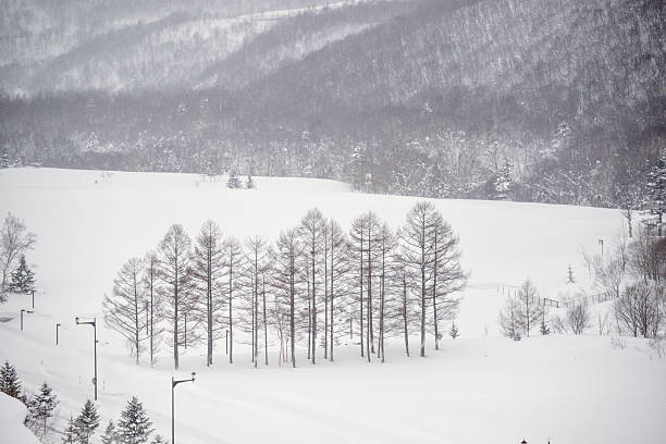 Snowing in winter season in Hokkaido Japan