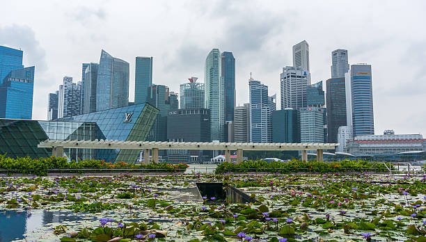blick auf die innenstadt von singapur stadt - editorial tall luxury contemporary stock-fotos und bilder