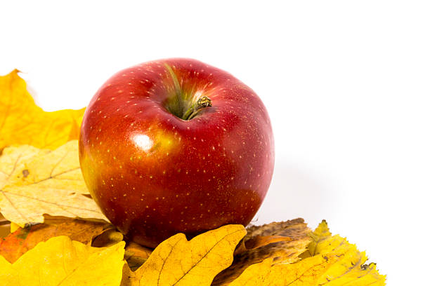 istock Apples with Autumn leaves 492759386