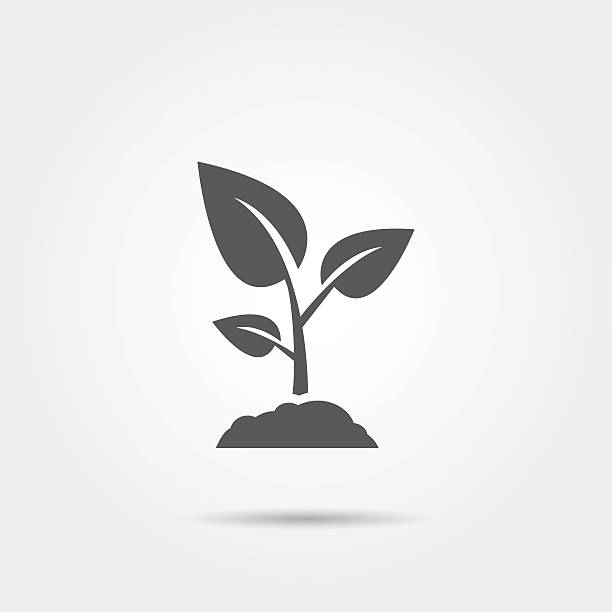 Sprout icon vector art illustration