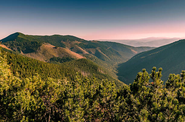 istock Nizke Tatry - Low Tatras 492759750