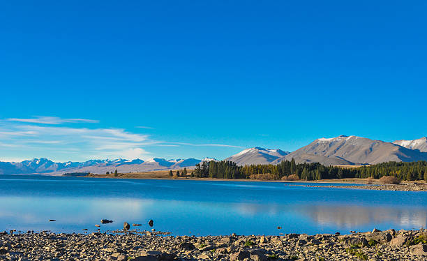 istock landscape in New Zealand 492760486