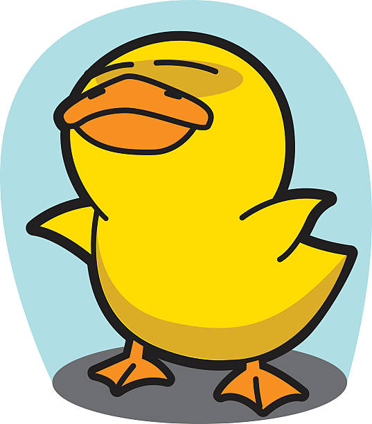 dumny kaczki wektor kreskówka, 72 - duck beak humor drawing stock illustrations