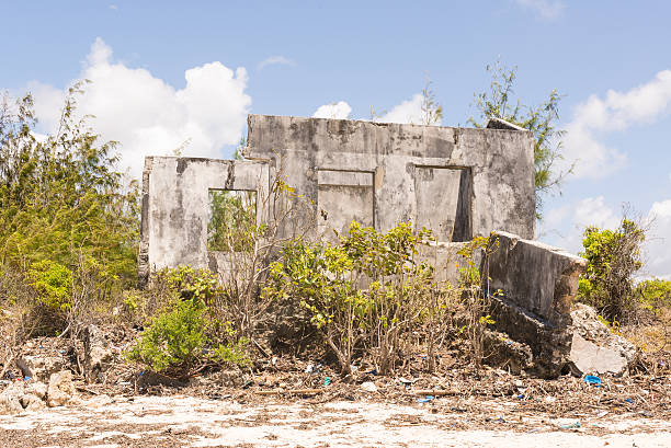 istock Ruins of an abandoned house covered in shrubs 492762272