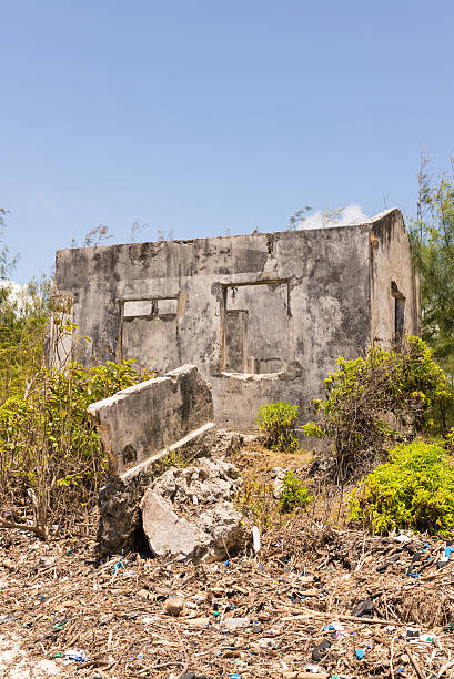 istock Ruins of an abandoned house covered in shrubs 492762402