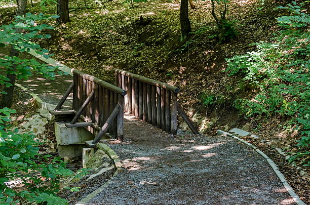 istock Picturesque way  through green forest with bridge 492763920