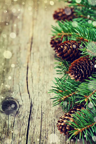 istock Christmas card from fir tree and cone with copy space 492764772
