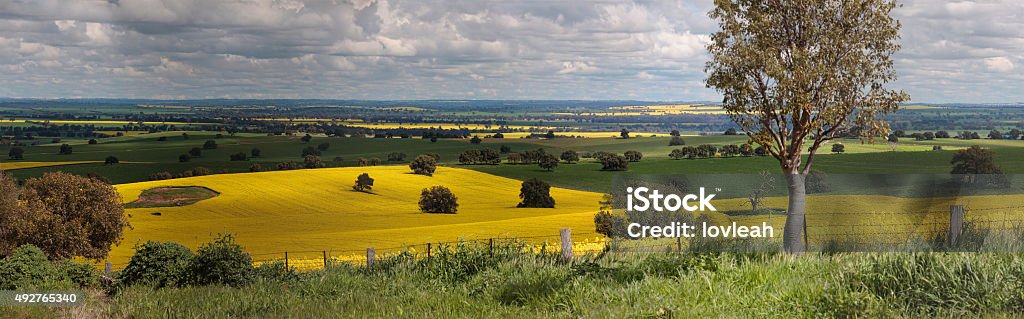 Rural granjas panorama - Foto de stock de Australia libre de derechos