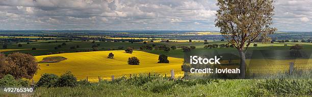 Rural Granjas Panorama Foto de stock y más banco de imágenes de Australia - Australia, Trigo, 2015
