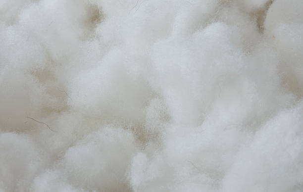 white silk cotton pillow stock photo